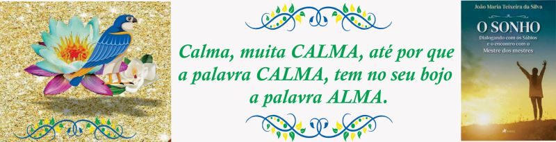 banner livro