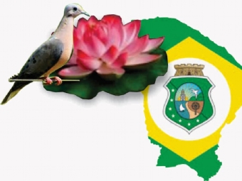 clique para ampliar
